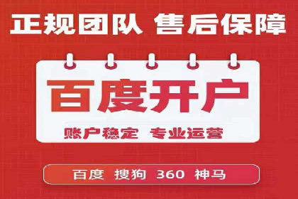 SEM竞价开户流程详解：成功案例解析